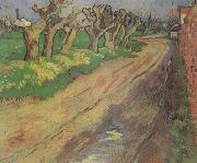 Vincent Van Gogh Pollard Willows (nn04) painting